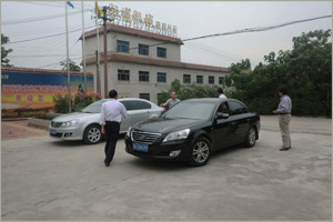 վ���������㑝əCе����