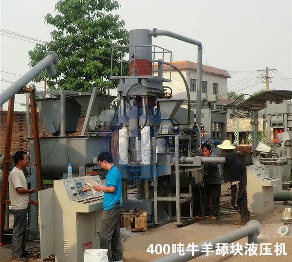 牛羊舔塊液壓機(jī)